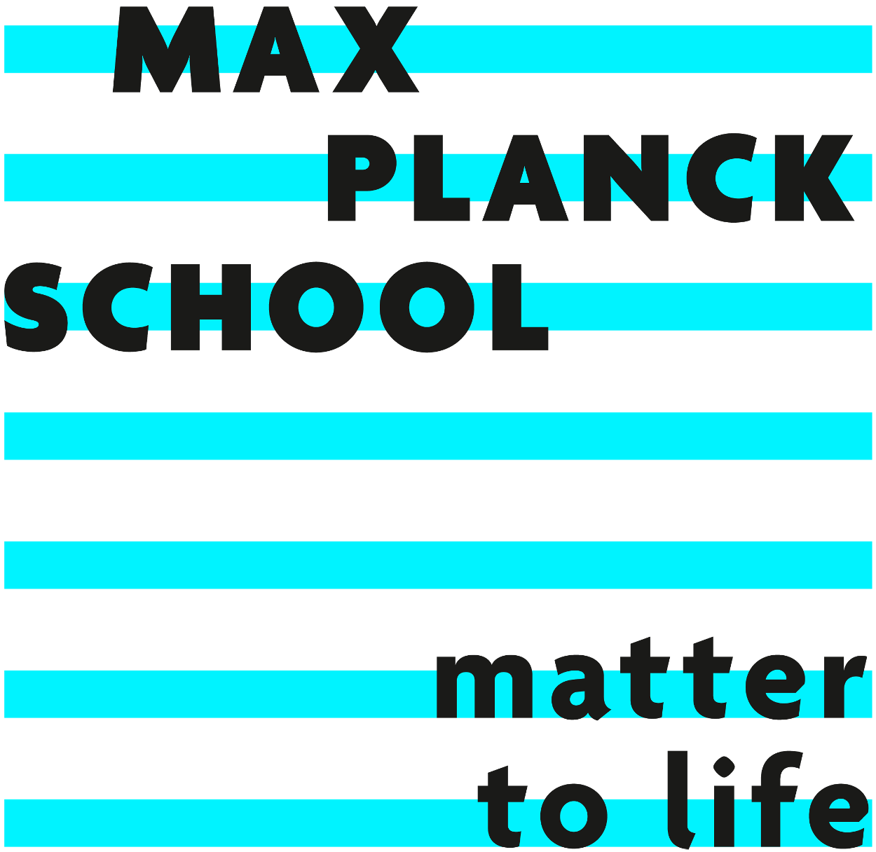 Logo Max Planck School