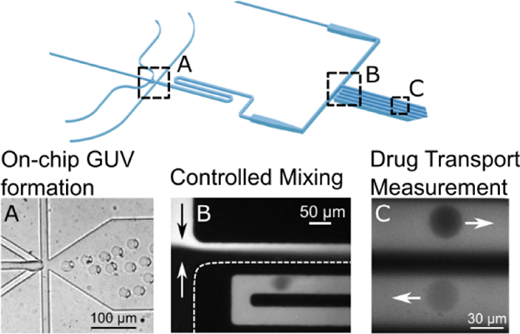 An Integrated Microfluidic Platform for Quantifying