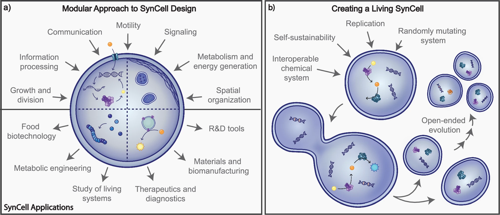 Building a Synthetic Cell Together