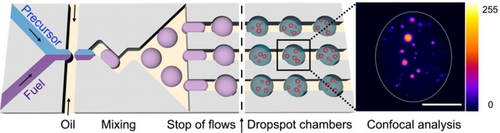 Evolution and Single-Droplet Analysis of Fuel-Driven Compartments by Droplet-Based Microfluidics