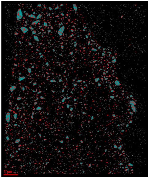 Formation of EGFRwt/EGFRvIII homo- and hetero-dimers in glioblastoma cells as detected by single molecule localization microscopy